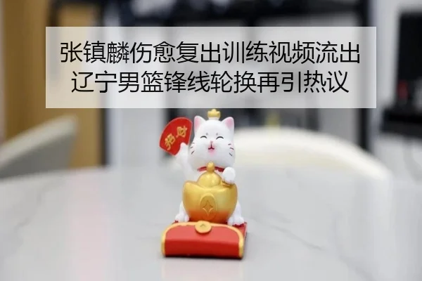 张镇麟伤愈复出训练视频流出 辽宁男篮锋线轮换再引热议